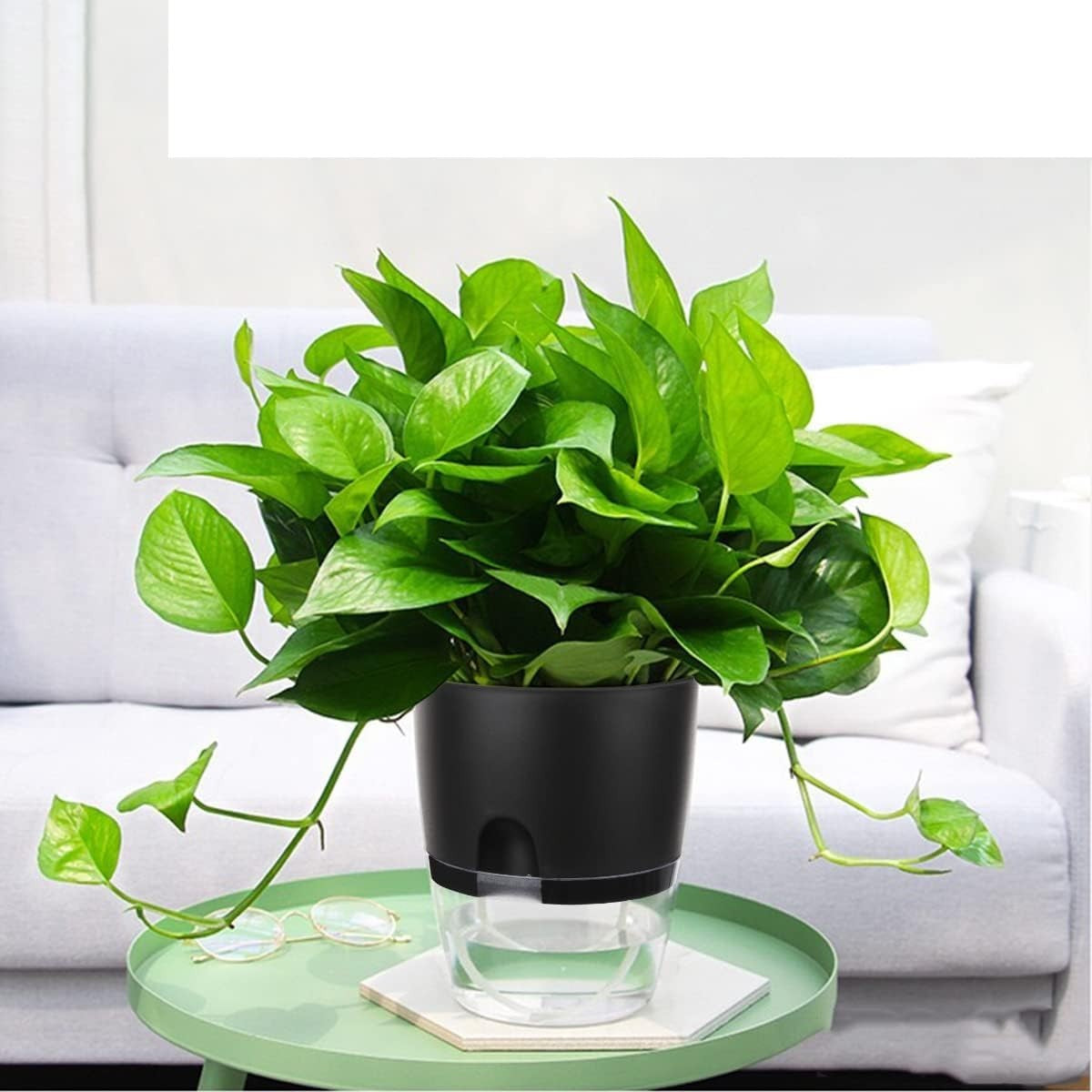 6 Inch Self Watering Planter Pots for Indoor Plants, 3 Packs African Violet Pots