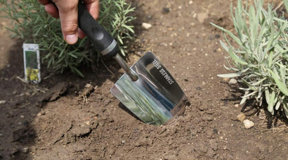 Edward Tools Heavy-Duty Bend-Proof Garden Trowel - Polished Stainless Steel, Rust-Resistant Oversized Hand Shovel for Efficient Digging in Rocky and Heavy Soils with Comfort Grip