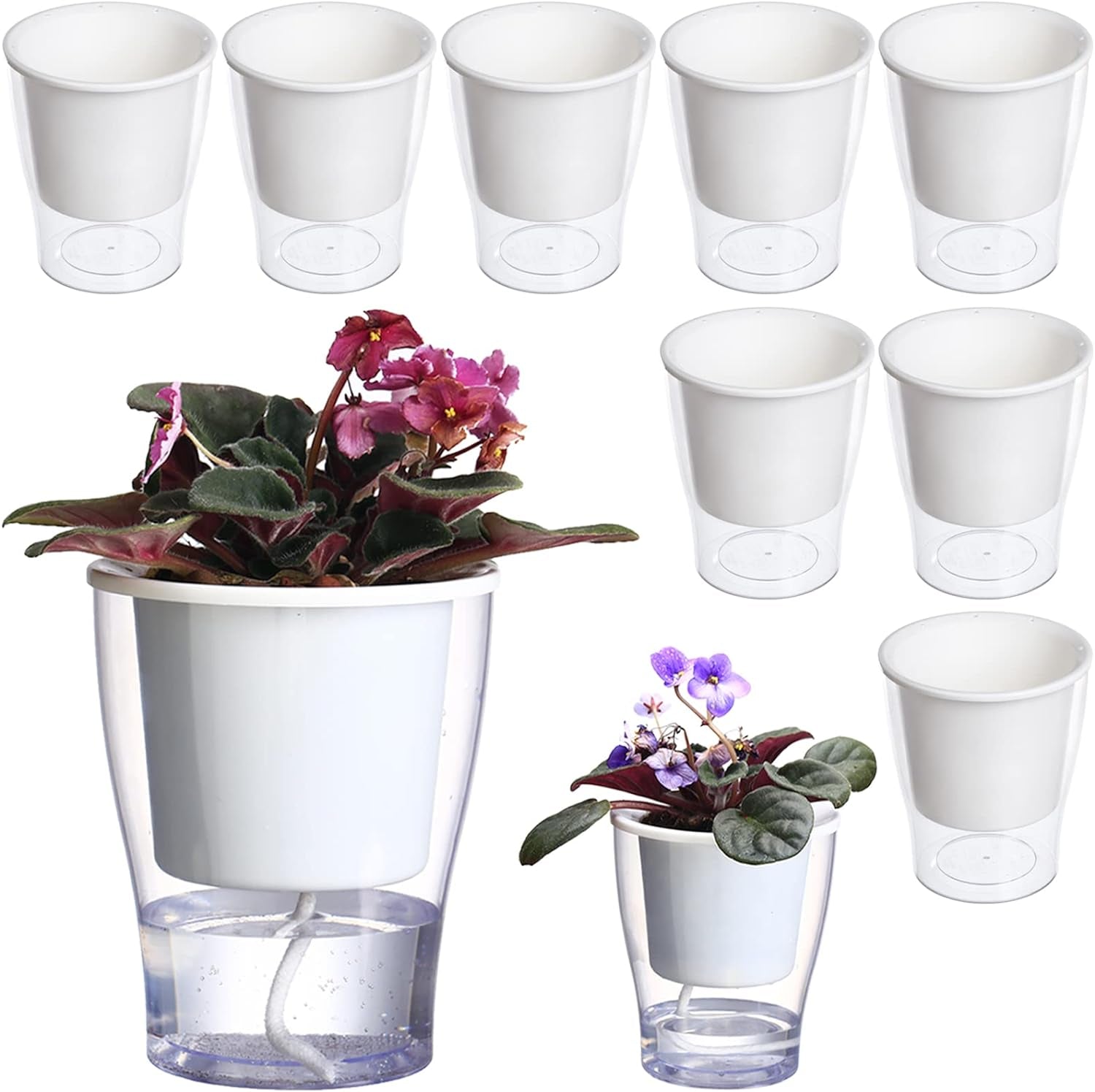 Transform your indoor jungle with our 3-Pack of 7" Clear Self-Watering Planters! Perfect for African Violets, Herbs, Orchids, and more! 🌱✨ #IndoorGardening #PlantLove