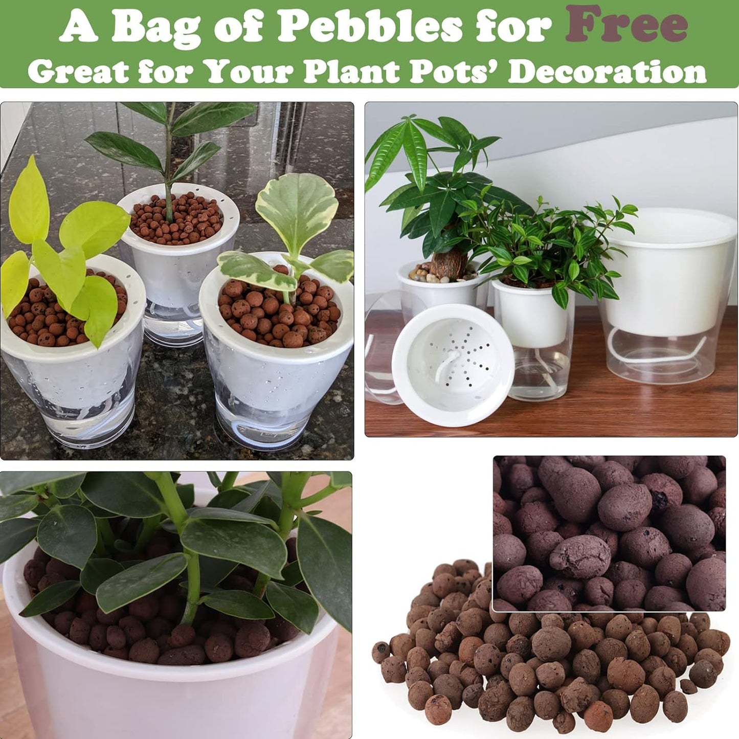 Transform your indoor jungle with our 3-Pack of 7" Clear Self-Watering Planters! Perfect for African Violets, Herbs, Orchids, and more! 🌱✨ #IndoorGardening #PlantLove