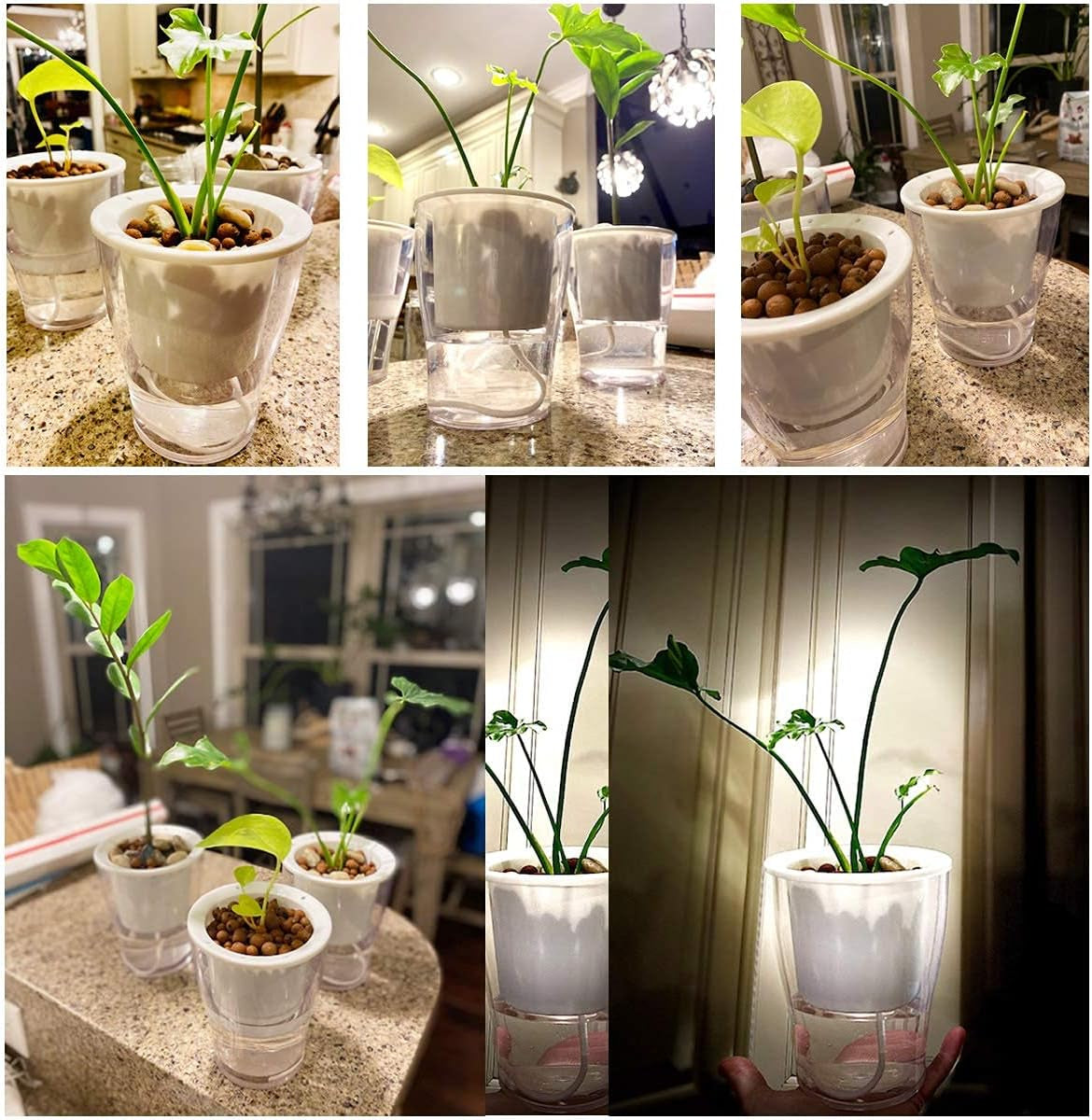 Transform your indoor jungle with our 3-Pack of 7" Clear Self-Watering Planters! Perfect for African Violets, Herbs, Orchids, and more! 🌱✨ #IndoorGardening #PlantLove