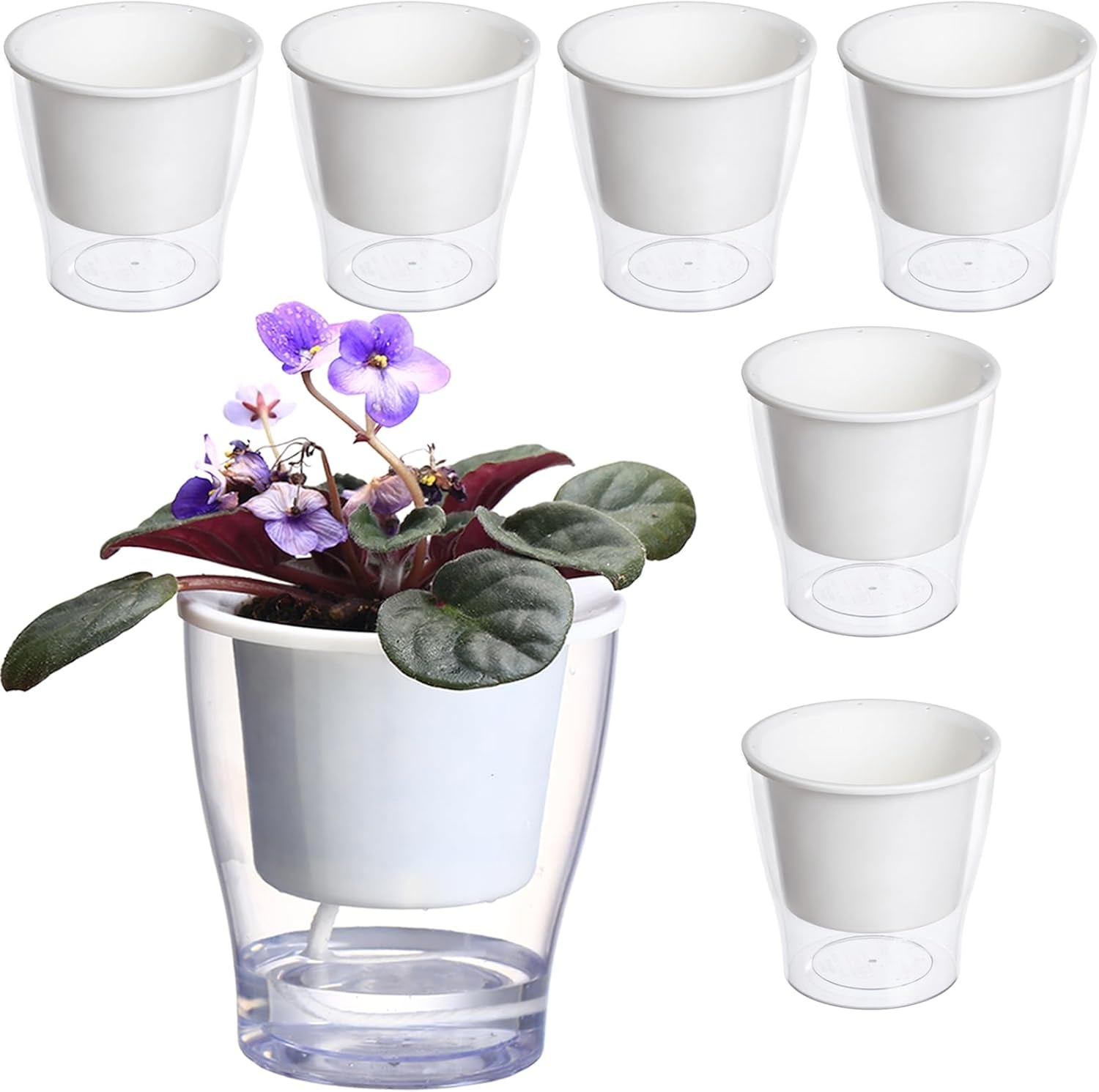 Transform your indoor jungle with our 3-Pack of 7" Clear Self-Watering Planters! Perfect for African Violets, Herbs, Orchids, and more! 🌱✨ #IndoorGardening #PlantLove