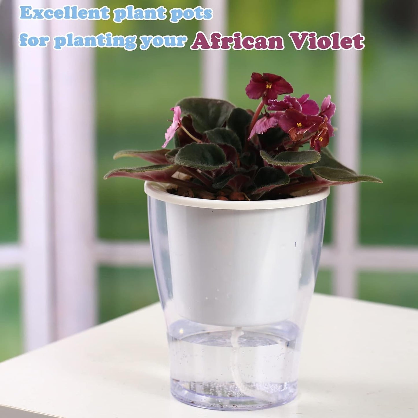 Transform your indoor jungle with our 3-Pack of 7" Clear Self-Watering Planters! Perfect for African Violets, Herbs, Orchids, and more! 🌱✨ #IndoorGardening #PlantLove