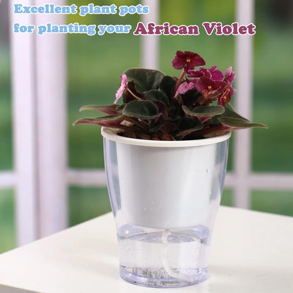 Transform your indoor jungle with our 3-Pack of 7" Clear Self-Watering Planters! Perfect for African Violets, Herbs, Orchids, and more! 🌱✨ #IndoorGardening #PlantLove