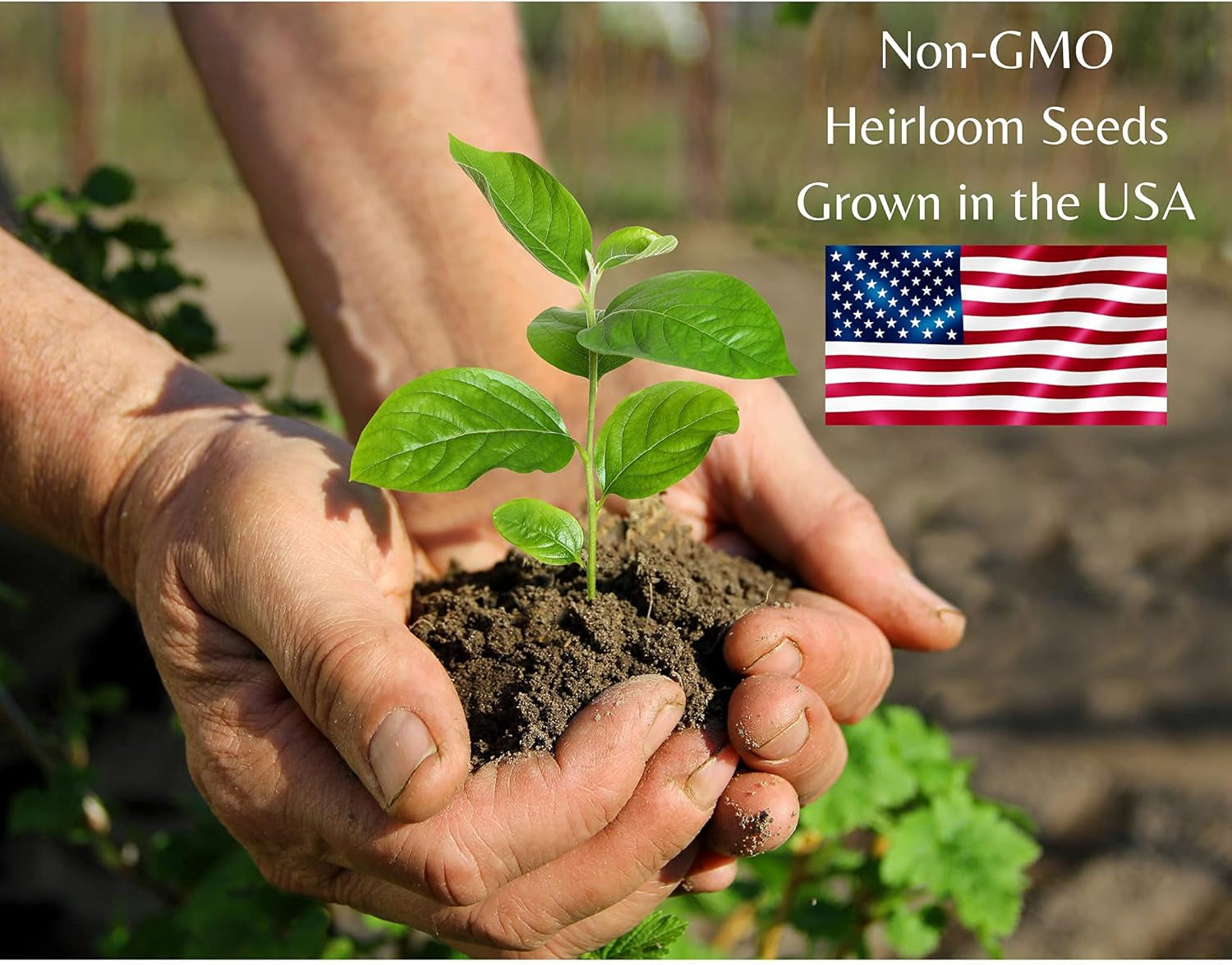 Indoor Herb Garden Starter Kit - Non-GMO Heirloom Seeds for Cilantro, Oregano, Parsley, and Basil - Ideal Gardening Gift - Made in the USA