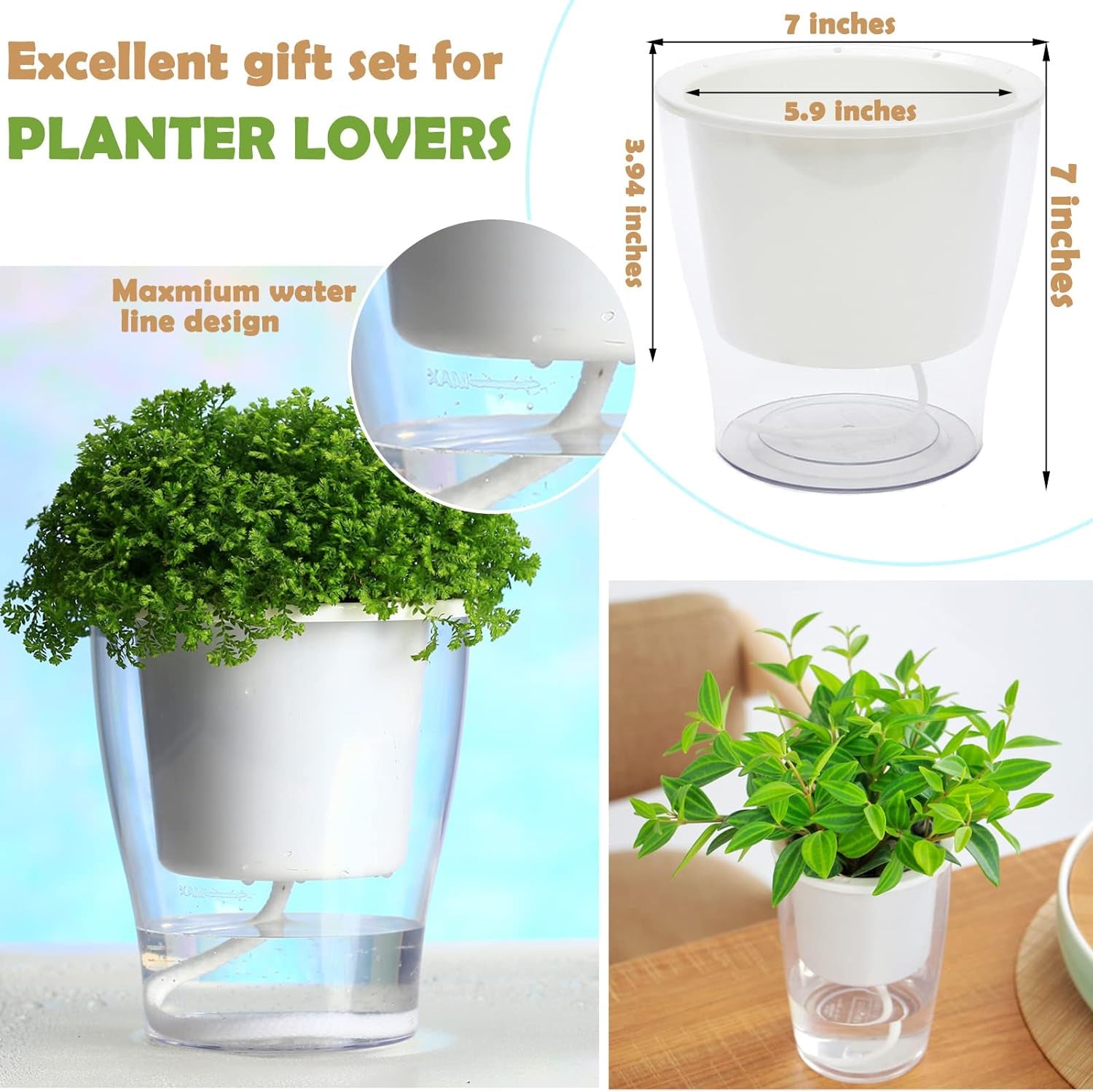 Transform your indoor jungle with our 3-Pack of 7" Clear Self-Watering Planters! Perfect for African Violets, Herbs, Orchids, and more! 🌱✨ #IndoorGardening #PlantLove