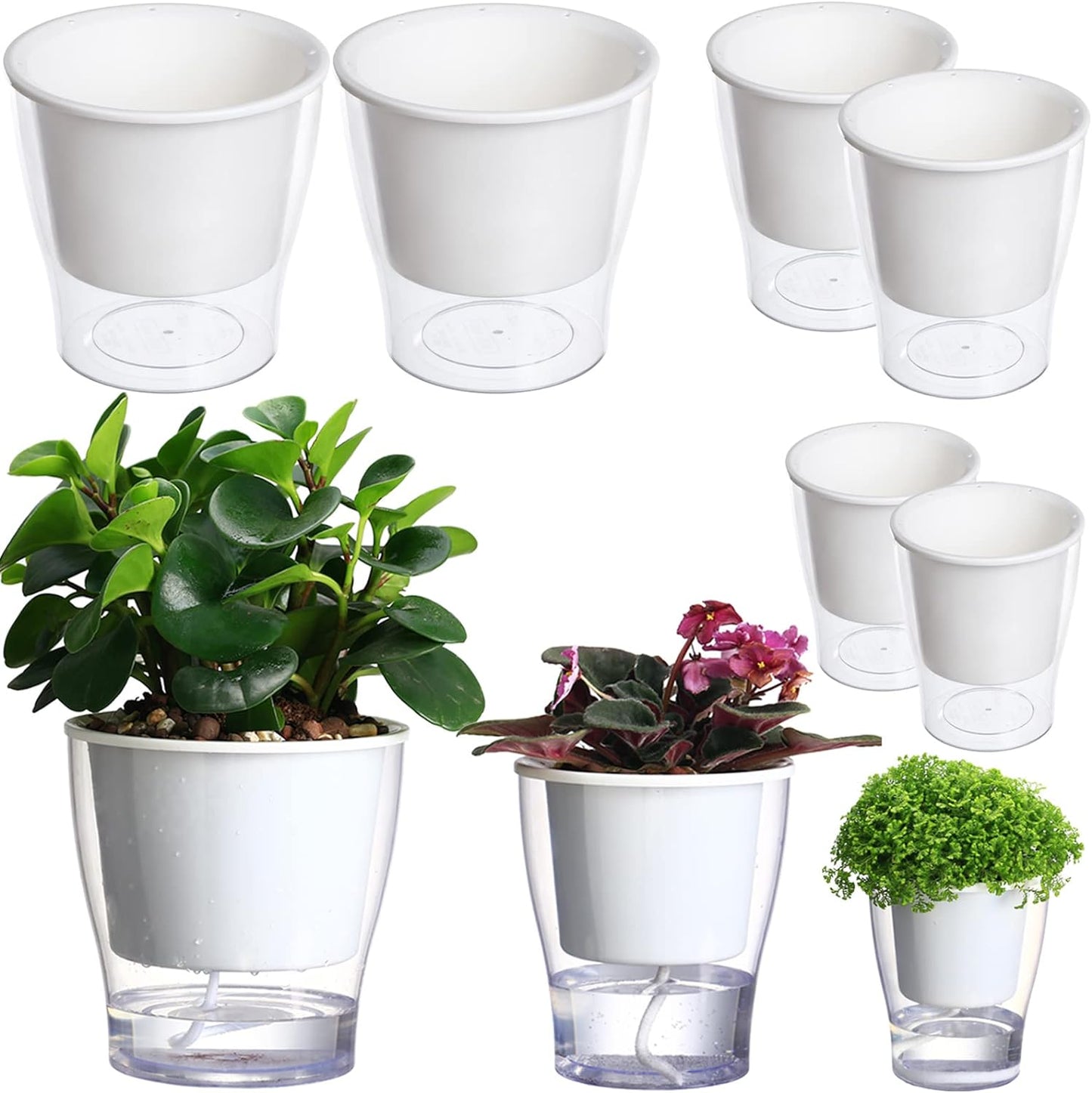 Transform your indoor jungle with our 3-Pack of 7" Clear Self-Watering Planters! Perfect for African Violets, Herbs, Orchids, and more! 🌱✨ #IndoorGardening #PlantLove