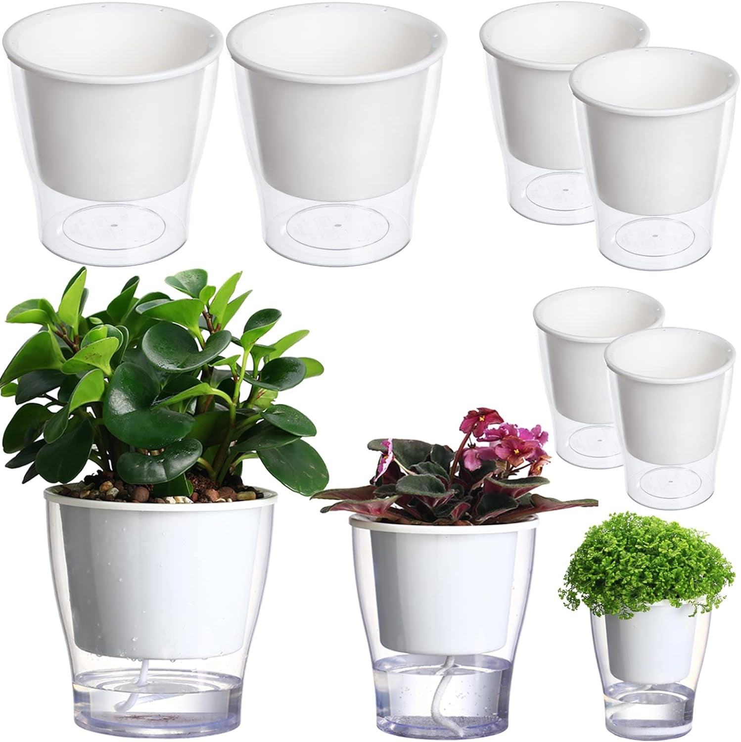 Transform your indoor jungle with our 3-Pack of 7" Clear Self-Watering Planters! Perfect for African Violets, Herbs, Orchids, and more! 🌱✨ #IndoorGardening #PlantLove