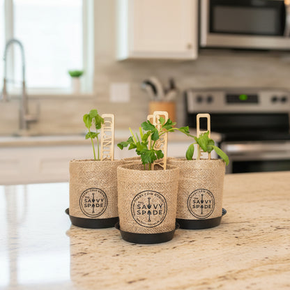 Indoor Herb Garden Starter Kit - Non-GMO Heirloom Seeds for Cilantro, Oregano, Parsley, and Basil - Ideal Gardening Gift - Made in the USA