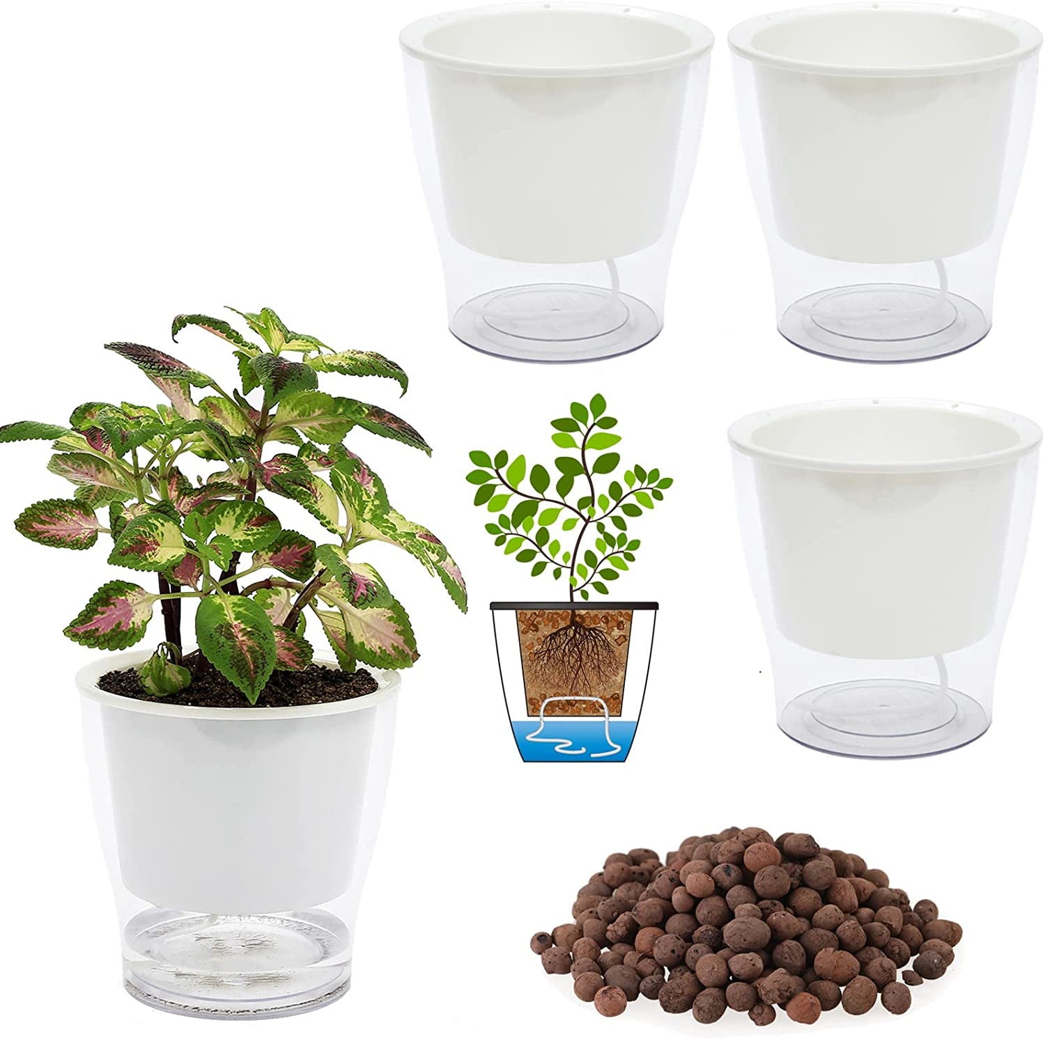 Transform your indoor jungle with our 3-Pack of 7" Clear Self-Watering Planters! Perfect for African Violets, Herbs, Orchids, and more! 🌱✨ #IndoorGardening #PlantLove