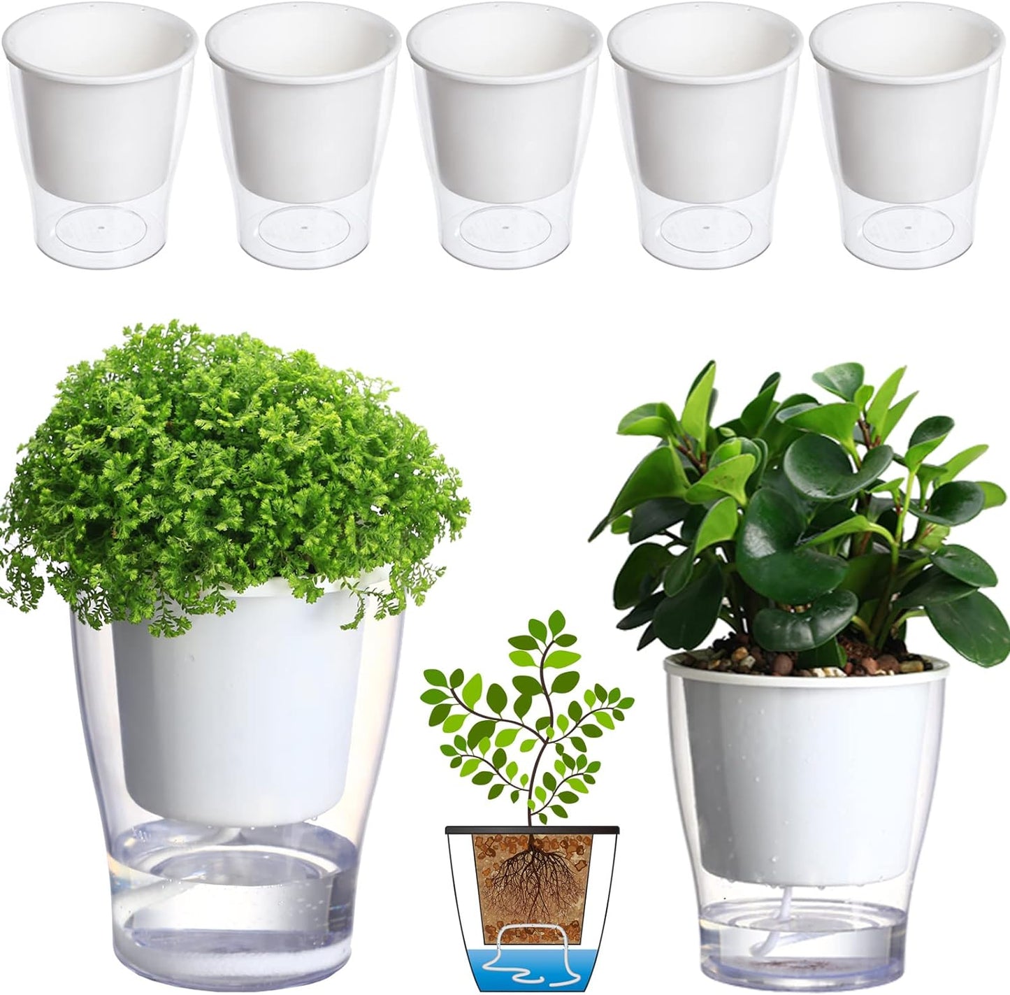Transform your indoor jungle with our 3-Pack of 7" Clear Self-Watering Planters! Perfect for African Violets, Herbs, Orchids, and more! 🌱✨ #IndoorGardening #PlantLove