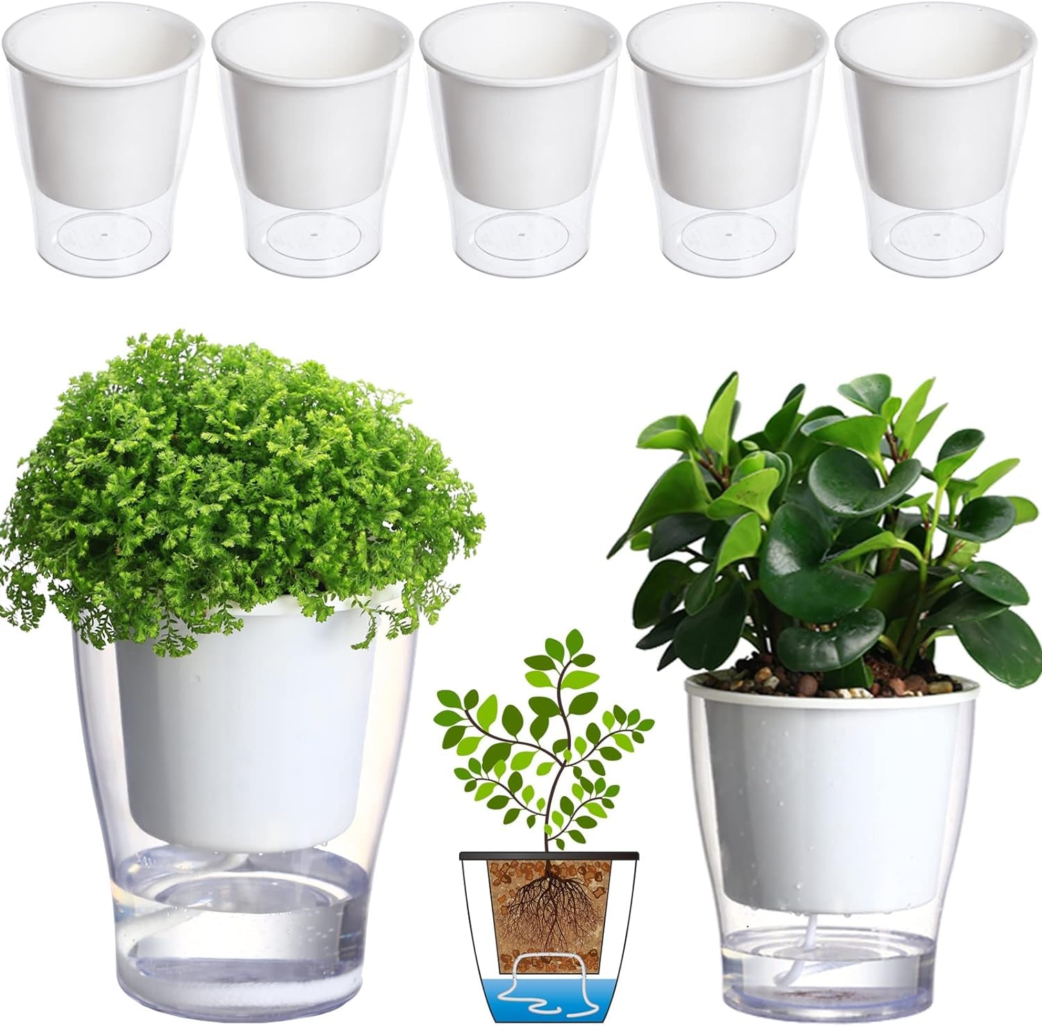Transform your indoor jungle with our 3-Pack of 7" Clear Self-Watering Planters! Perfect for African Violets, Herbs, Orchids, and more! 🌱✨ #IndoorGardening #PlantLove