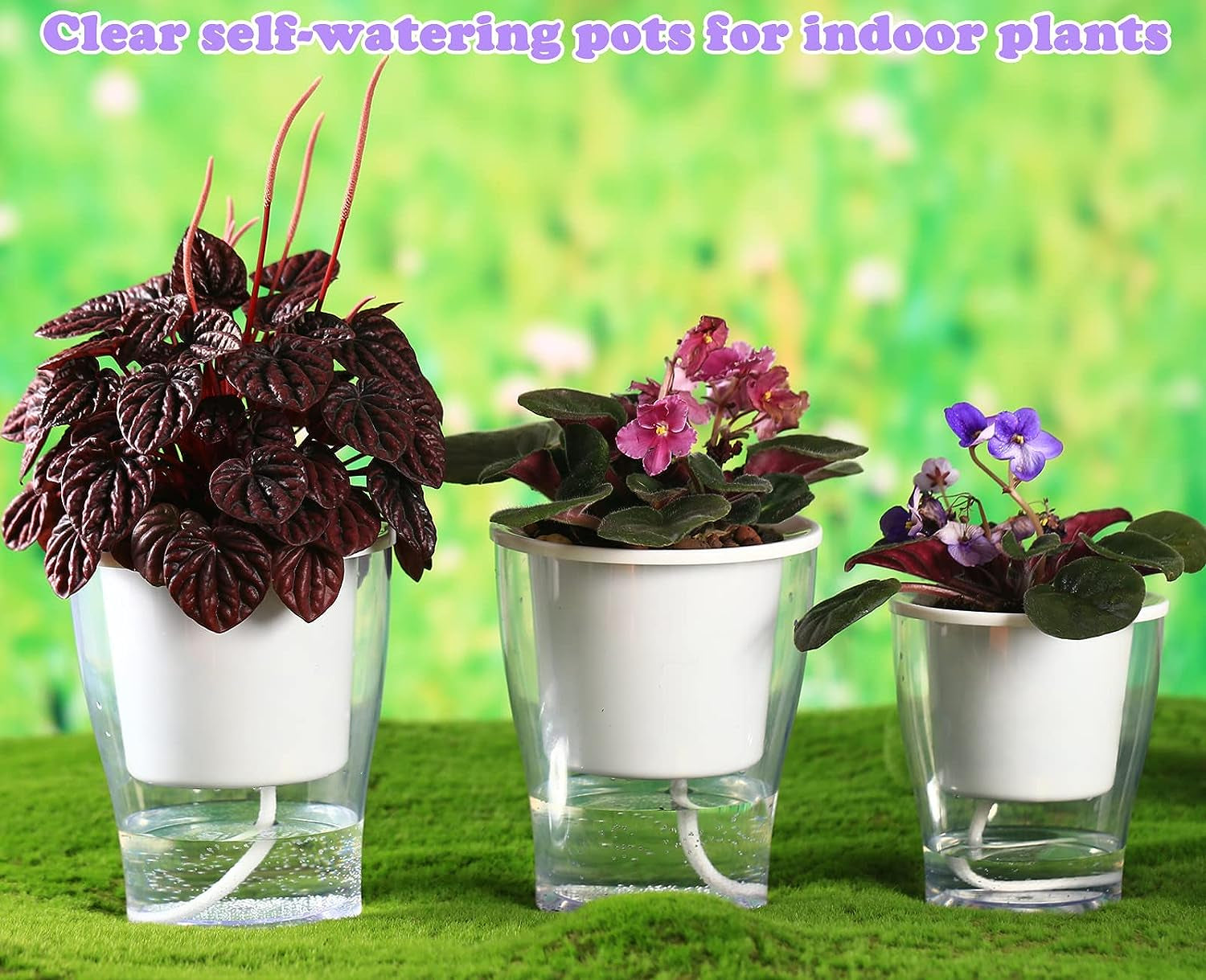 Transform your indoor jungle with our 3-Pack of 7" Clear Self-Watering Planters! Perfect for African Violets, Herbs, Orchids, and more! 🌱✨ #IndoorGardening #PlantLove