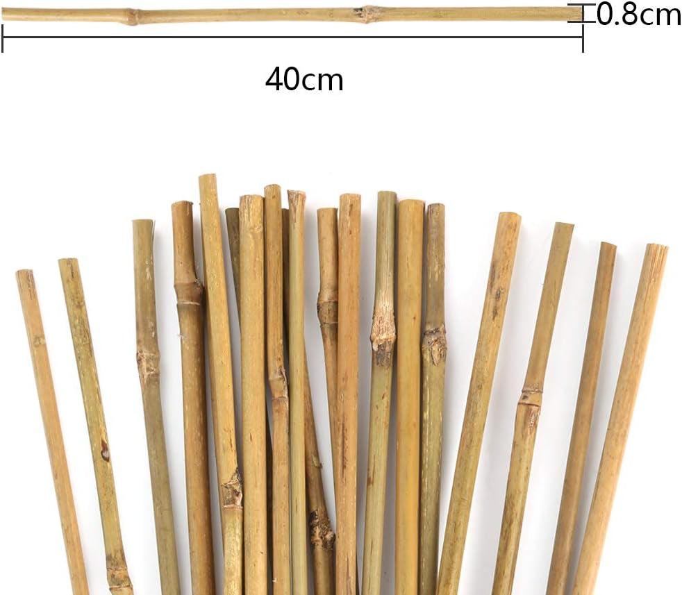 Pllieay 20-Pack 1.33' x 16" Natural Bamboo Garden Stakes for Indoor and Outdoor Plant Support, Ideal for Potted Tomato Plants