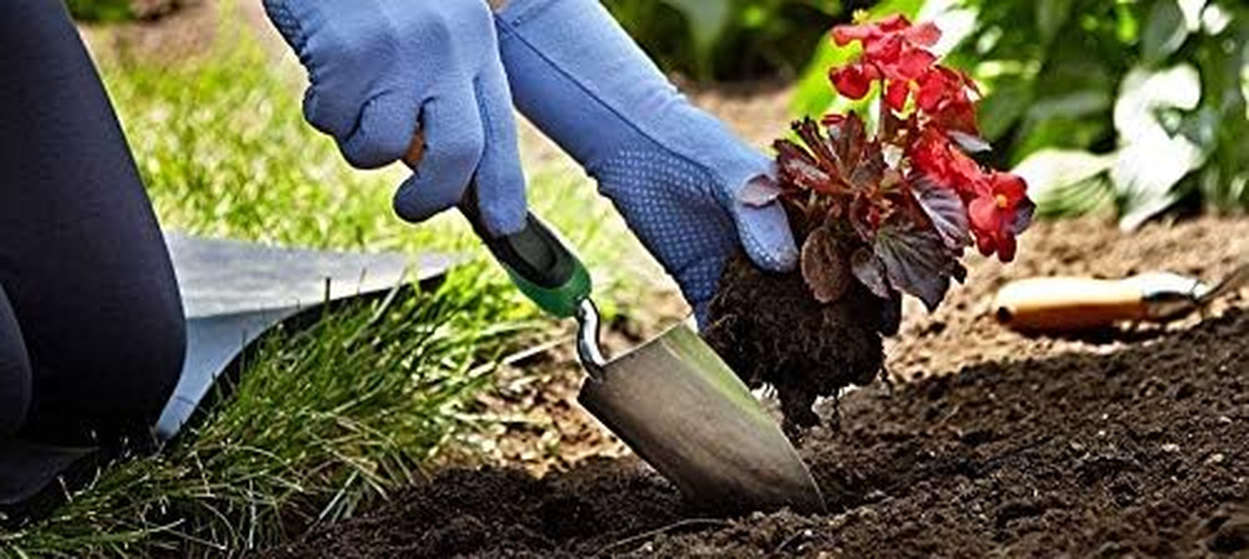 Edward Tools Heavy-Duty Bend-Proof Garden Trowel - Polished Stainless Steel, Rust-Resistant Oversized Hand Shovel for Efficient Digging in Rocky and Heavy Soils with Comfort Grip